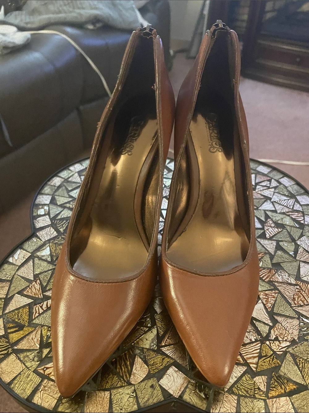 Classic Women's Brown Pointed-Toe Pumps Carlos Santana
